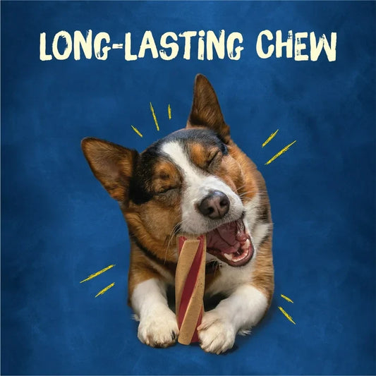 Purina Busy with Beggin’ Twist’d Adult Dog Chew Bone Treats