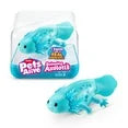 Pets Alive Swimming Axolotls by ZURU, Robotic Swimming Axolotl, Electronic Pet, Summer Pool Toy