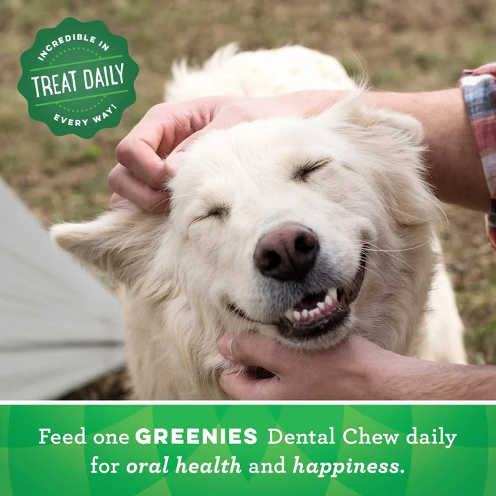 Greenies Original Petite Natural Dental Care Dog Treats, 12 Oz Pack (20 Treats)